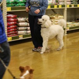 photograph by PeterW